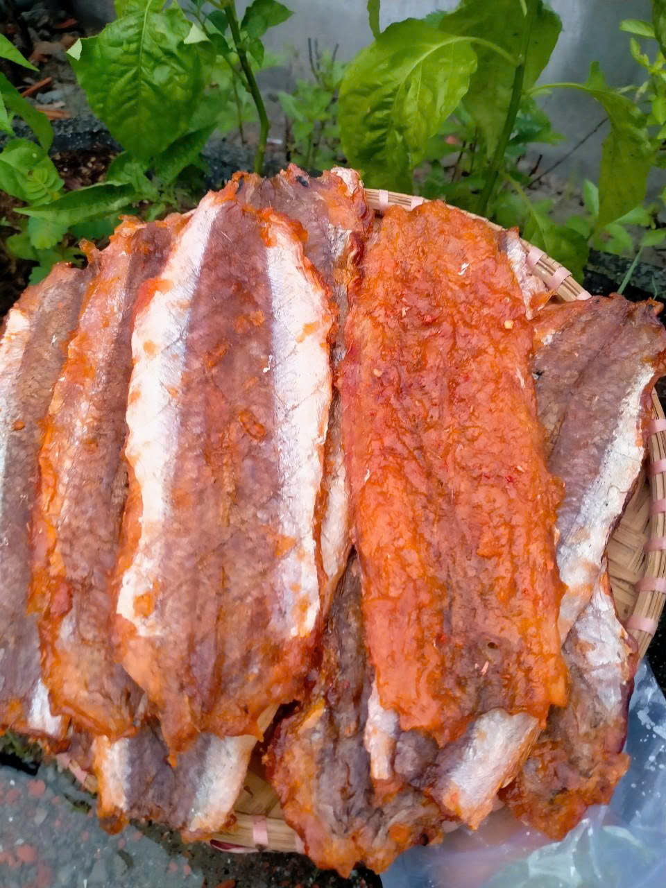 z7016287837697_6009a3e8444a332e6406a92651ba6f5b z7016287837697_6009a3e8444a332e6406a92651ba6f5b