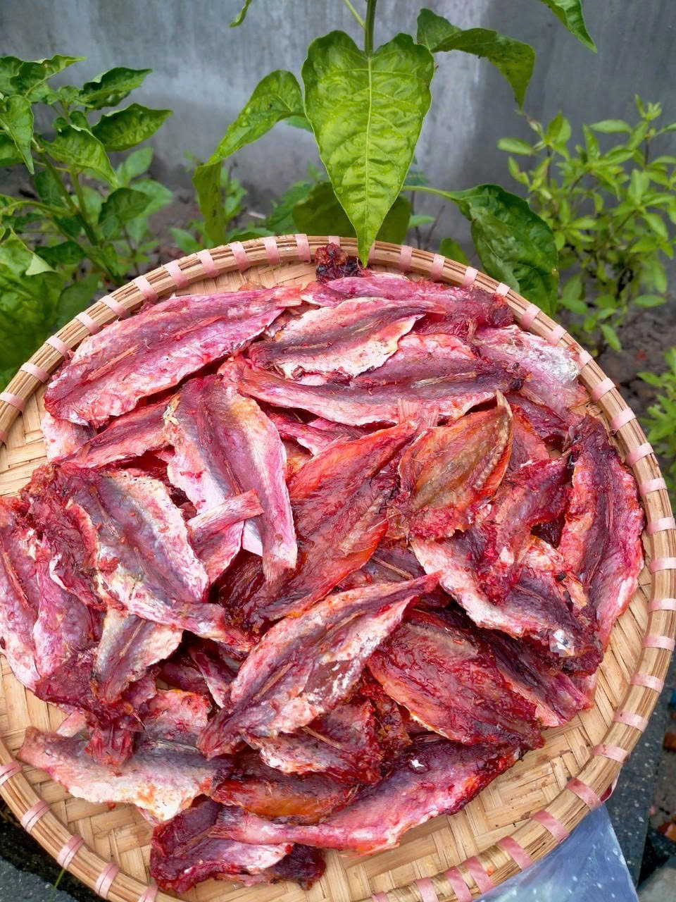 z7016288225959_4e9e7481724452fb26a3c6b665626efd z7016288225959_4e9e7481724452fb26a3c6b665626efd