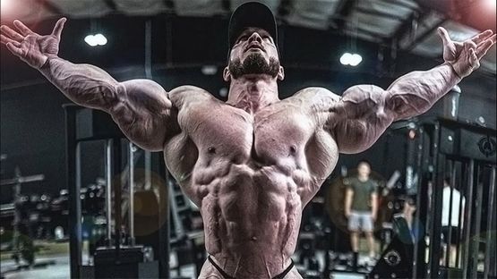 Propionato de Testosterona: Acción Farmacológica Propionato de Testosterona: Acción Farmacológica