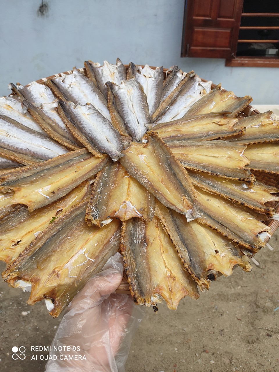 z4564928830169_444f218c57feacbb81b19f3e4df3fc42 z4564928830169_444f218c57feacbb81b19f3e4df3fc42