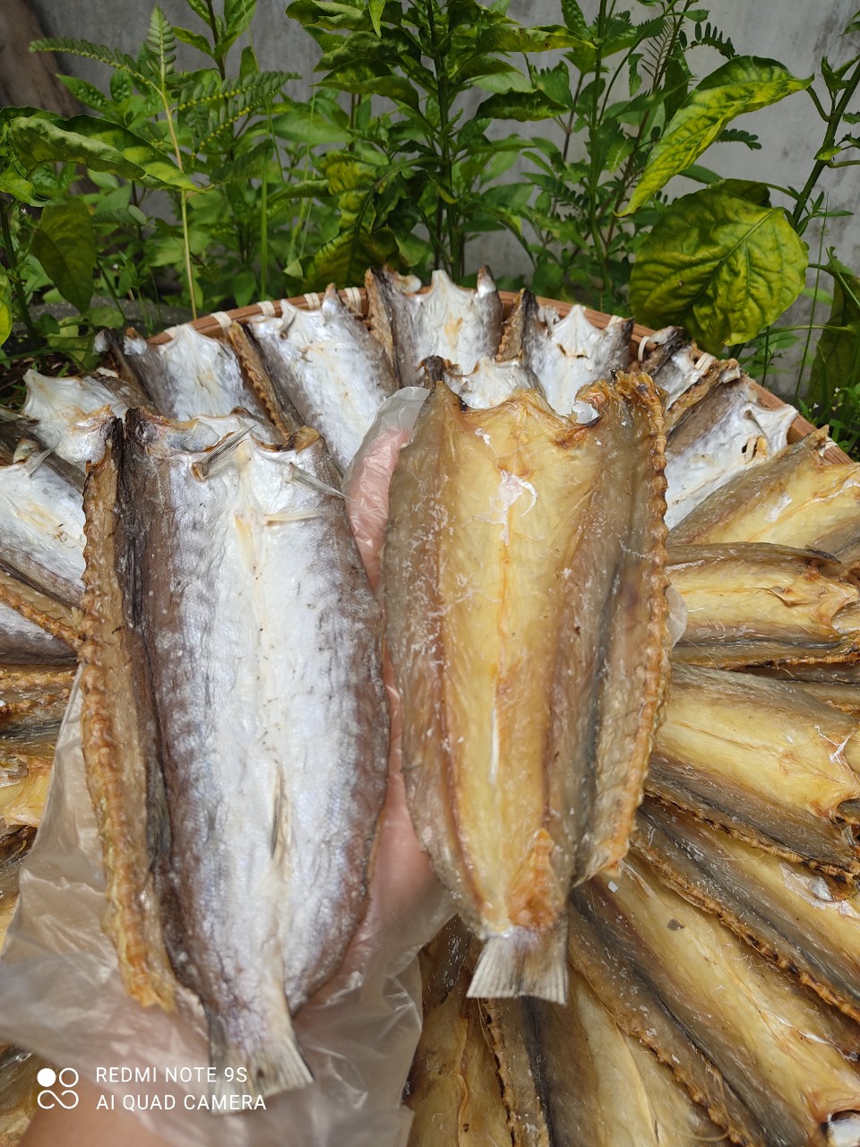 z4564928833474_c38f96eb401f8e1e83595af3897f7e9b z4564928833474_c38f96eb401f8e1e83595af3897f7e9b