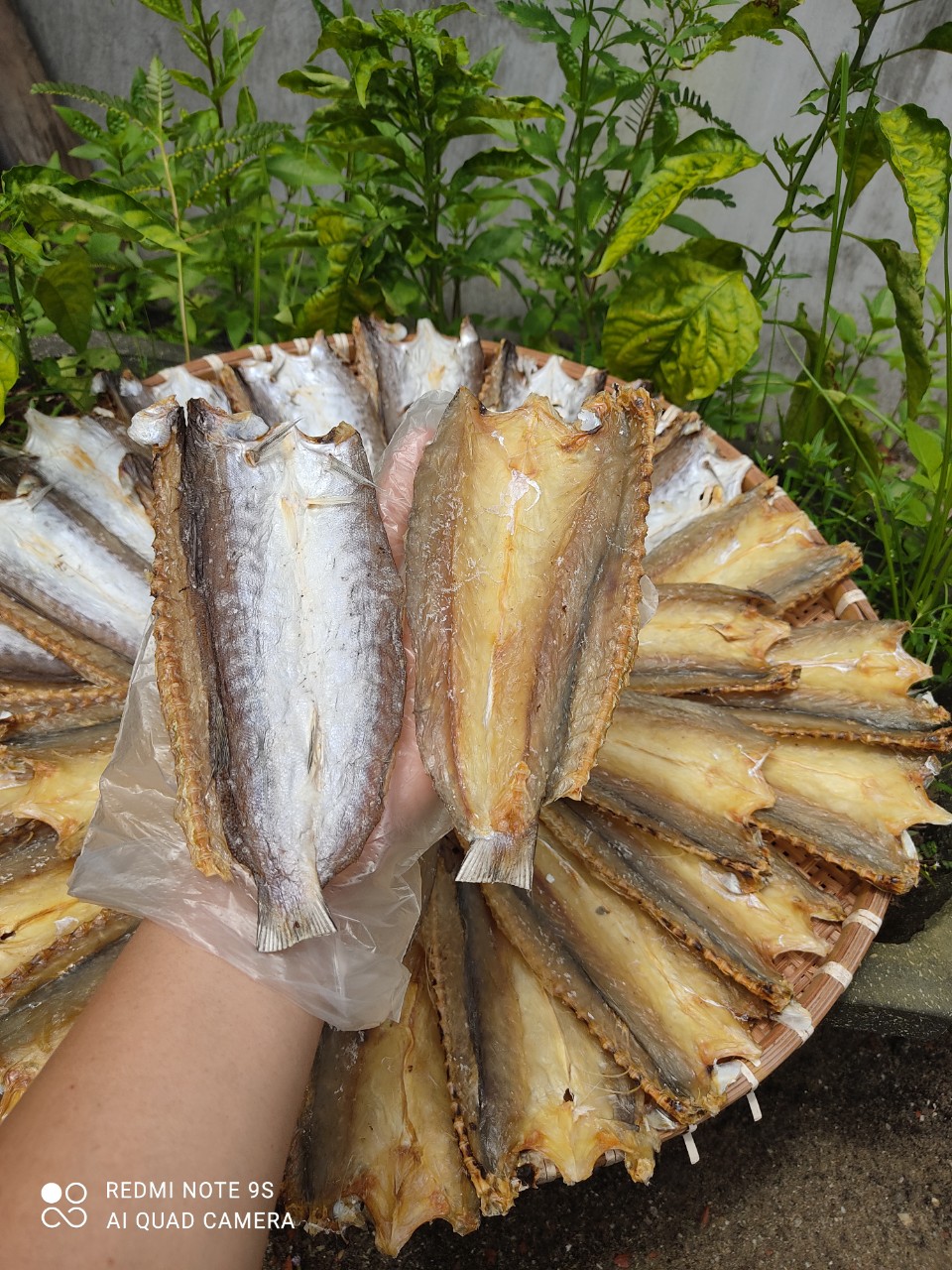 z4564928834268_31015244ab61fdb02693f1dc0d5c6912 z4564928834268_31015244ab61fdb02693f1dc0d5c6912