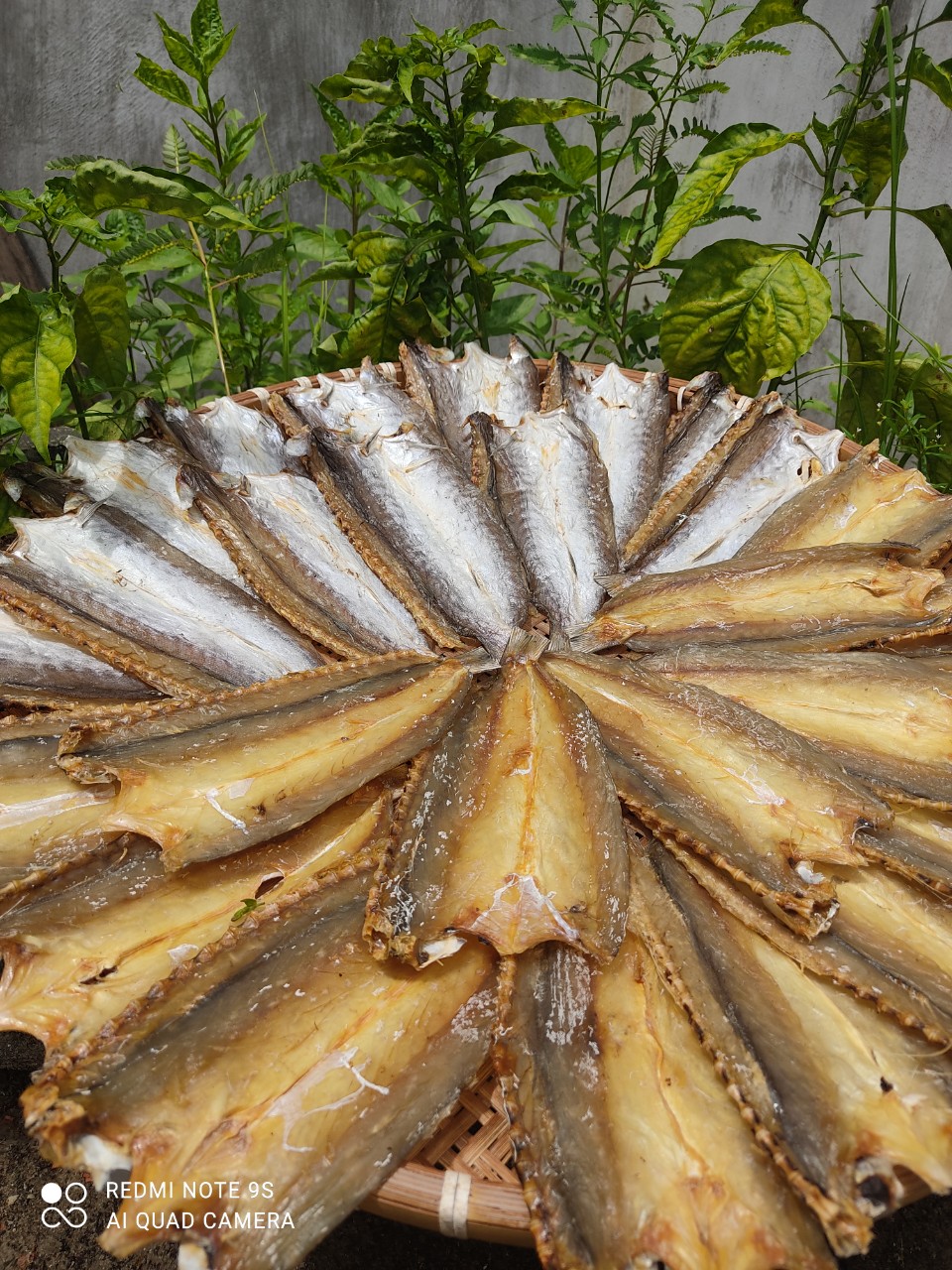 z4564928845684_41074f273540c96fedaa707147095c61 z4564928845684_41074f273540c96fedaa707147095c61