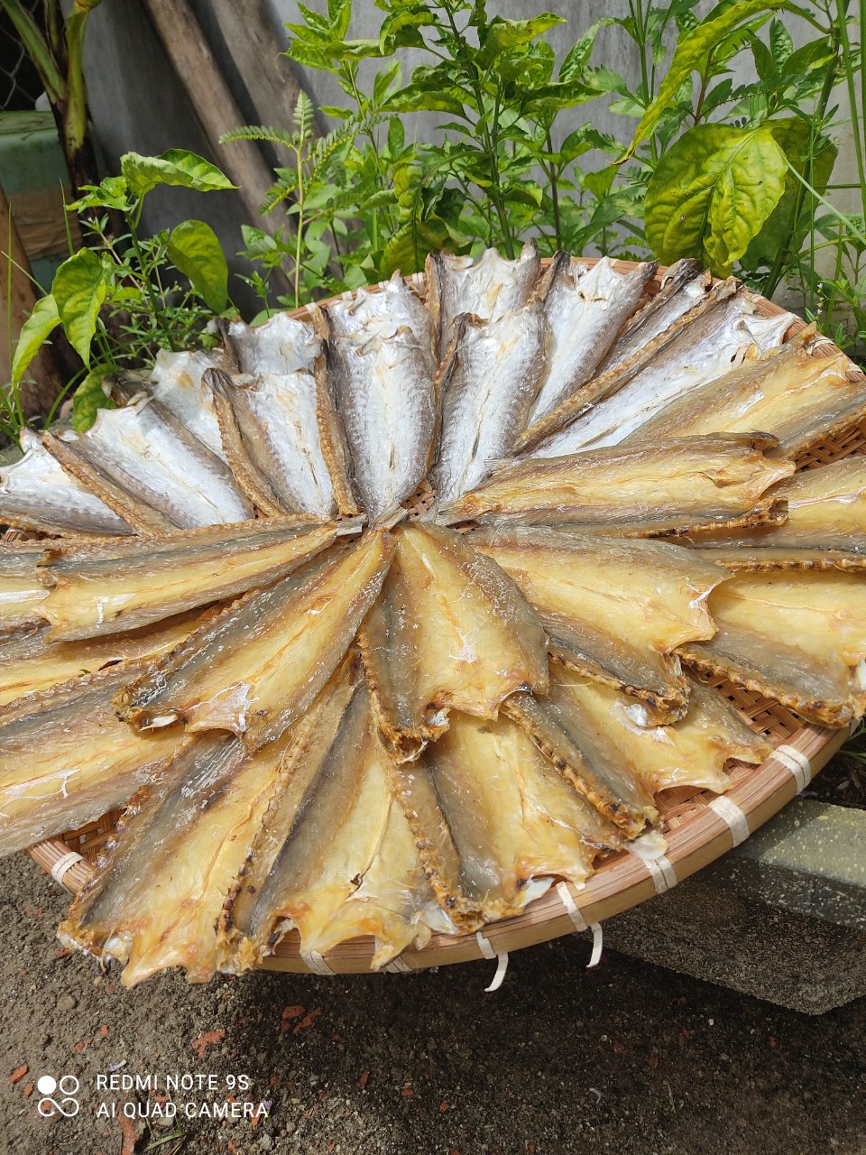 z4564928849716_ff1ce2fdc27b2225c859ac264880e302 z4564928849716_ff1ce2fdc27b2225c859ac264880e302