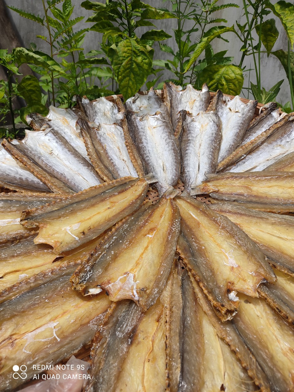 z4564928854598_fa3c4084060801bf23e9edadeaeab818 z4564928854598_fa3c4084060801bf23e9edadeaeab818