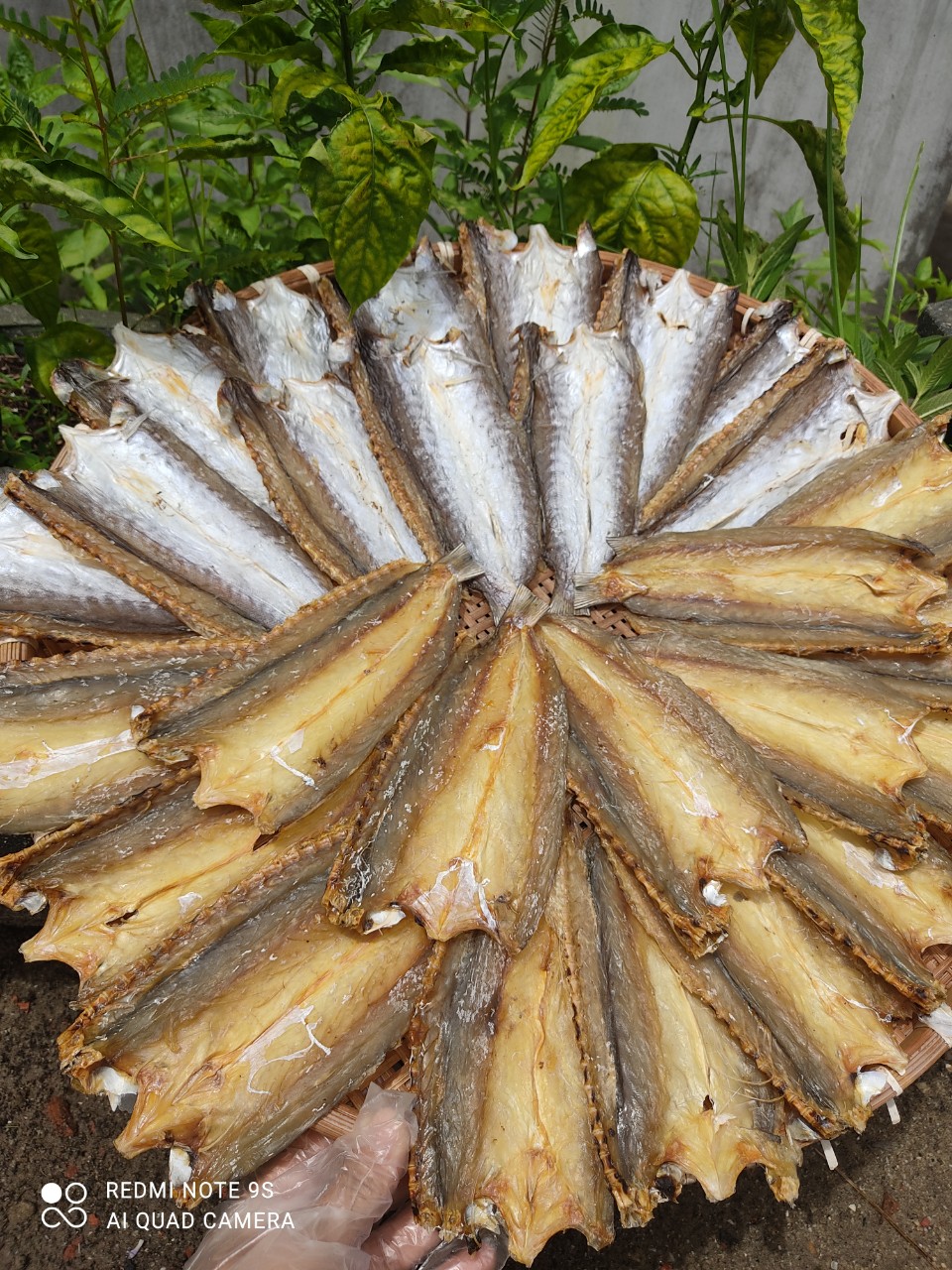 z4564928869619_13563c6c9036e77971703f4feae3f3f4 z4564928869619_13563c6c9036e77971703f4feae3f3f4