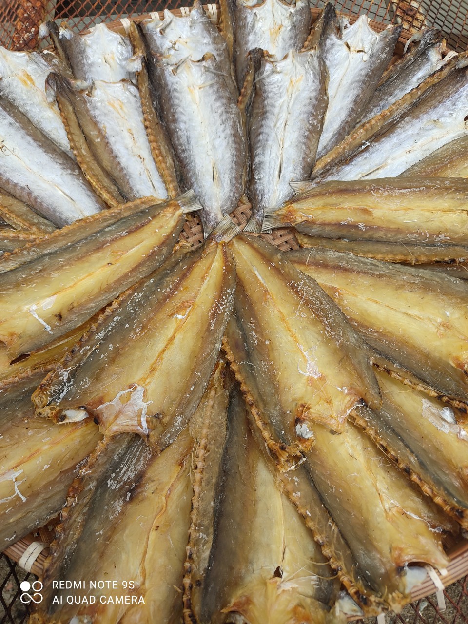 z4564928869621_da7569c516fbaafd82d6770a080d76e6 z4564928869621_da7569c516fbaafd82d6770a080d76e6