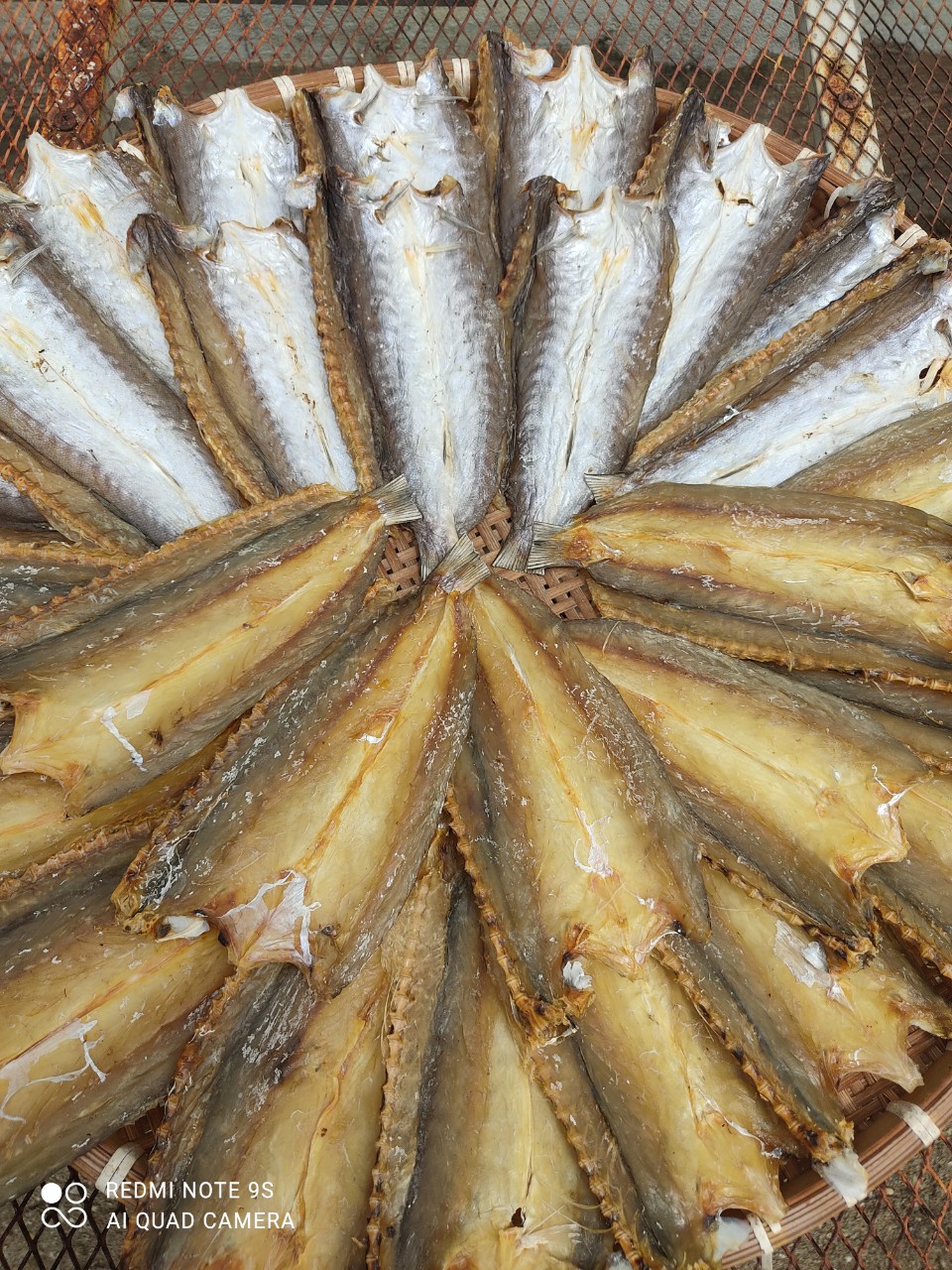 z4564928870248_e2c4bb23ae69dbda1194bee6a4b297a5 z4564928870248_e2c4bb23ae69dbda1194bee6a4b297a5