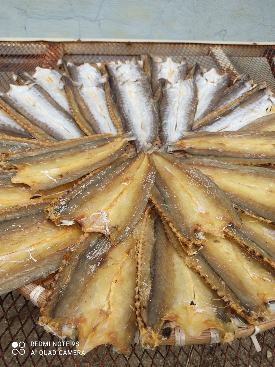 z4564928872226_ea6135a65987b64ac07c5e7e46f0a888 z4564928872226_ea6135a65987b64ac07c5e7e46f0a888