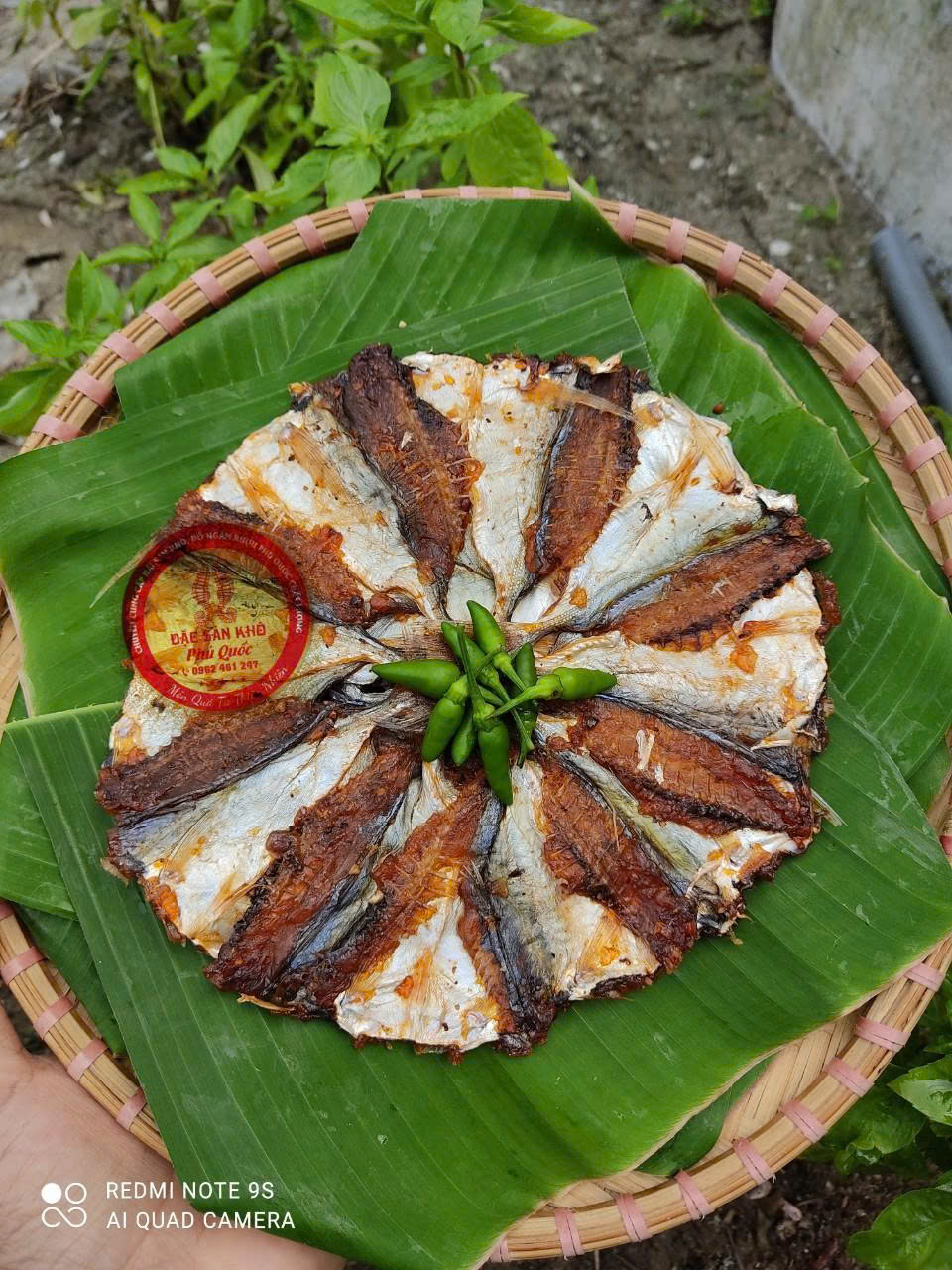 z7016257417565_08bf7cc0490b4020045e5fa6c9d243a1 z7016257417565_08bf7cc0490b4020045e5fa6c9d243a1