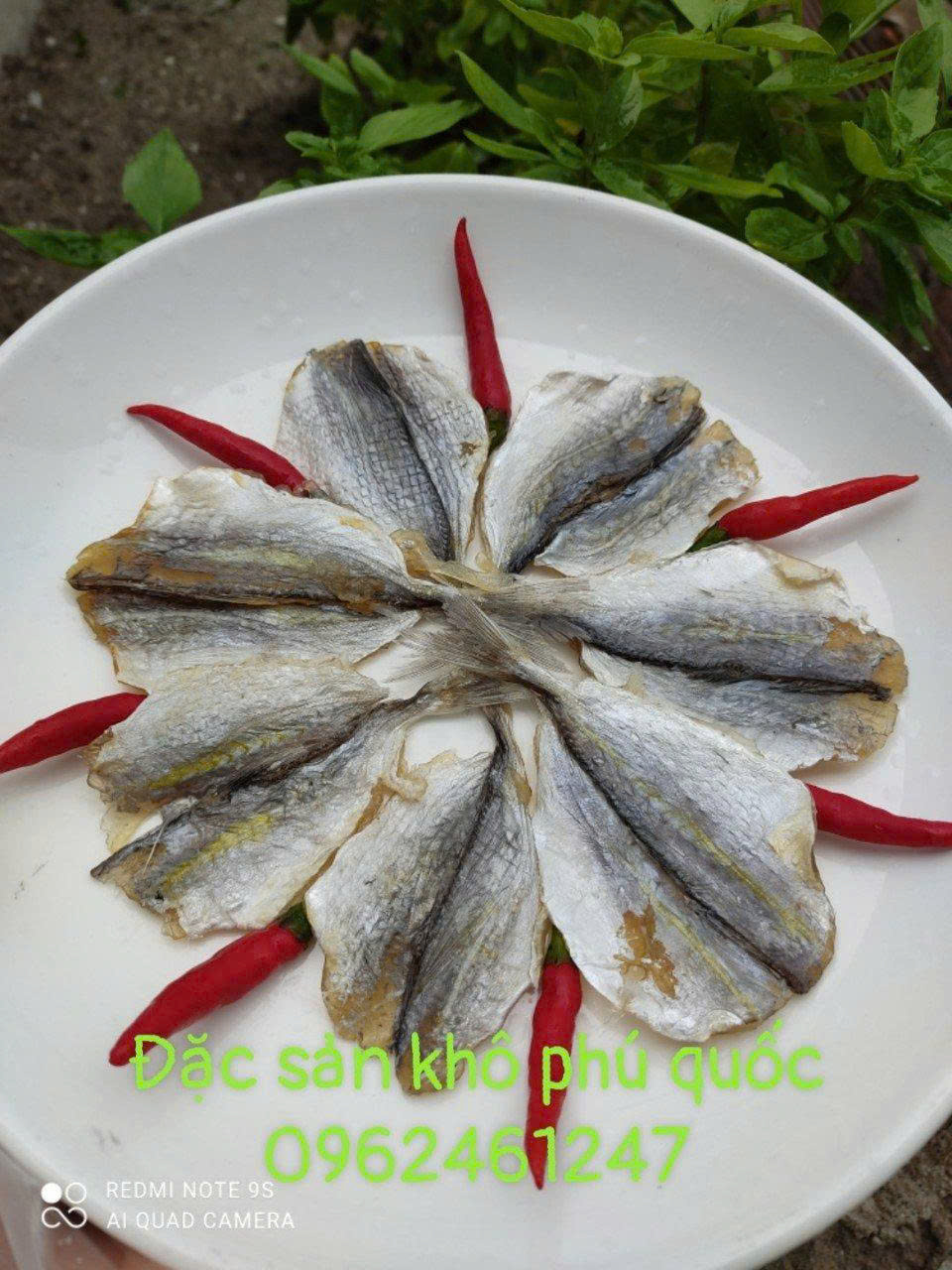 z7016257694726_29a04f3606294b78342b494a4bdab7e0 z7016257694726_29a04f3606294b78342b494a4bdab7e0