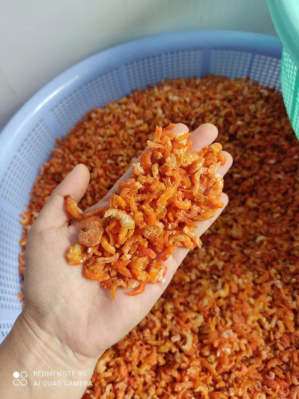 z7016259509115_f6f3c0616b16fe49360ed13275b081f1 z7016259509115_f6f3c0616b16fe49360ed13275b081f1