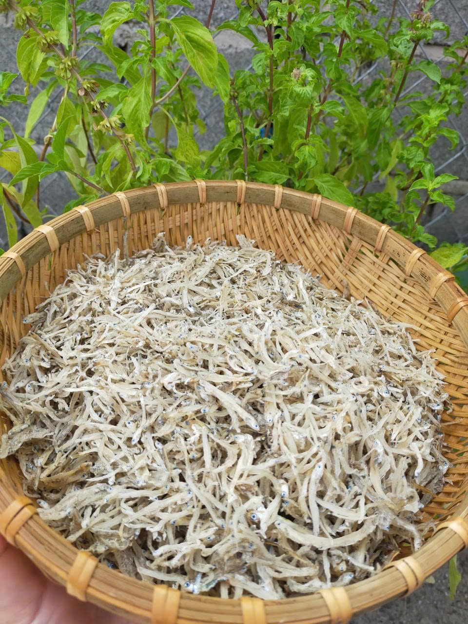 z7016259585303_7de896d291b5ac8b14b8b8015ba26333 z7016259585303_7de896d291b5ac8b14b8b8015ba26333