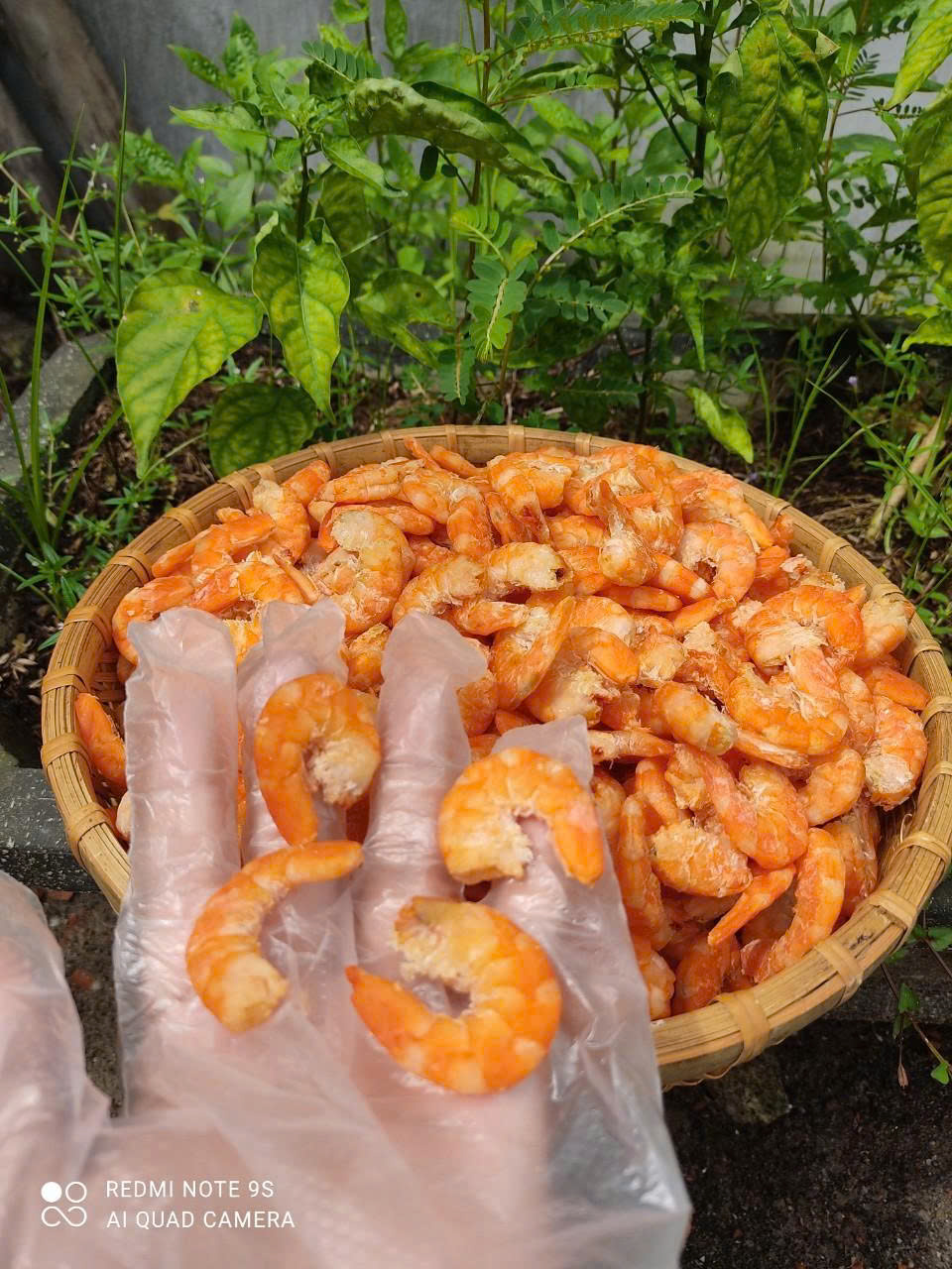 z7016259783706_83d8ad89ab2edae30912fee51e5beffd z7016259783706_83d8ad89ab2edae30912fee51e5beffd