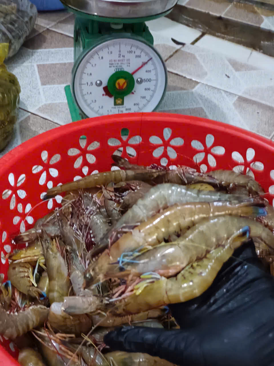 z7040248618897_dde989c4f9d98b1512c46bc42632a5b2 z7040248618897_dde989c4f9d98b1512c46bc42632a5b2