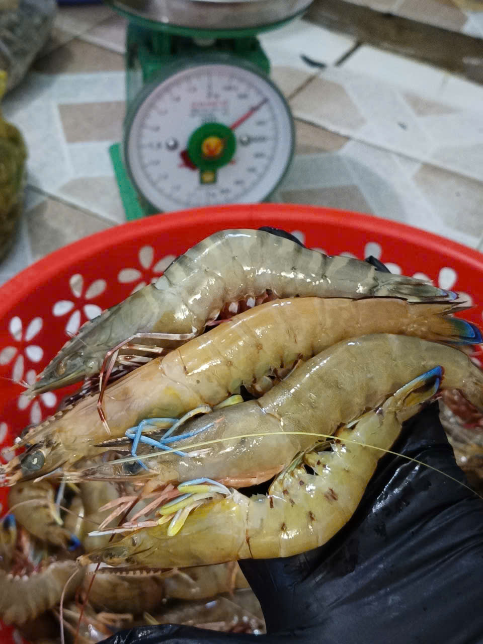 z7040248621552_8cc28f14c9a971641859a430ea498b7f z7040248621552_8cc28f14c9a971641859a430ea498b7f